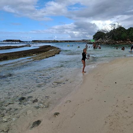 Cattleya Apartments Curacao ウィレムスタッド エクステリア 写真
