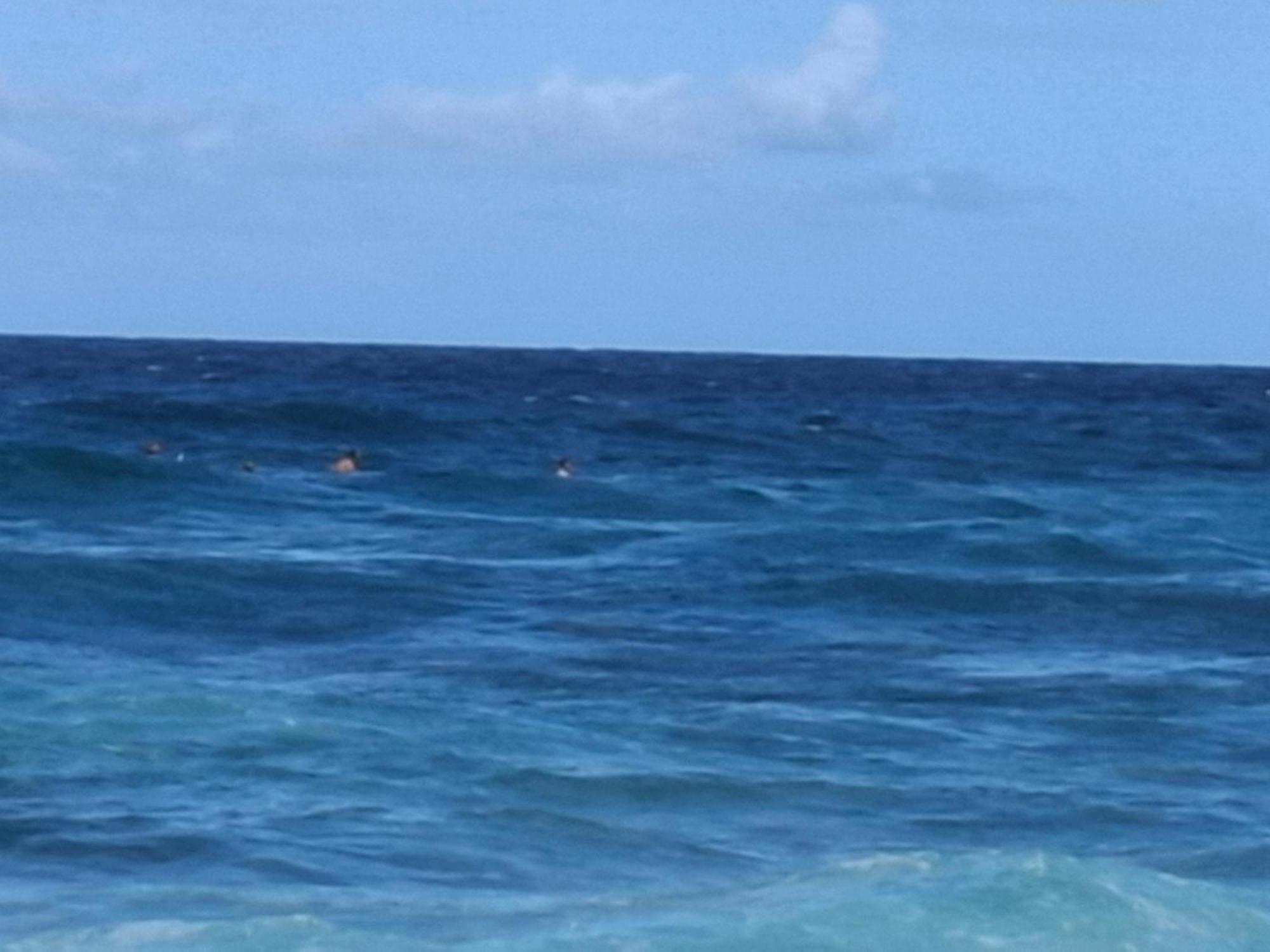 Cattleya Apartments Curacao ウィレムスタッド エクステリア 写真